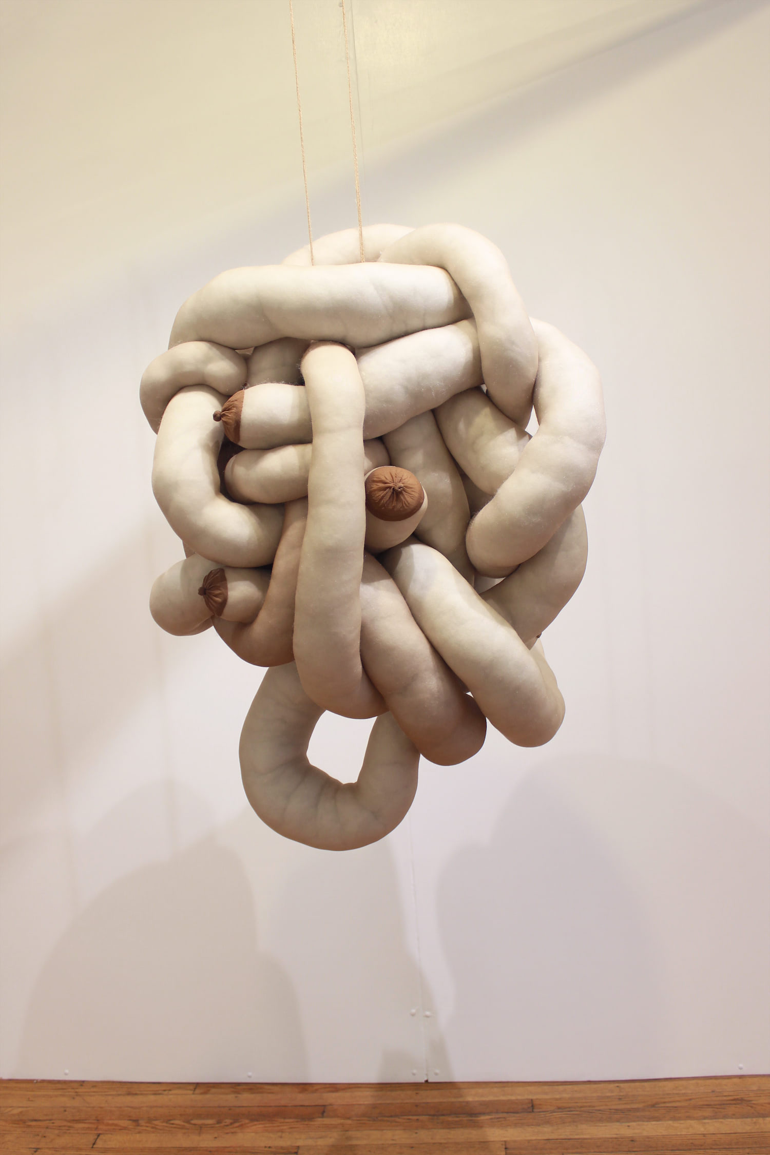 This image shows one of the hanging sculptures created from pantyhose, poly-fil, and thread. The sculpture twists in and out of itself creating a large knotted mass with nipples at the ends of the individual soft sculpture forms.