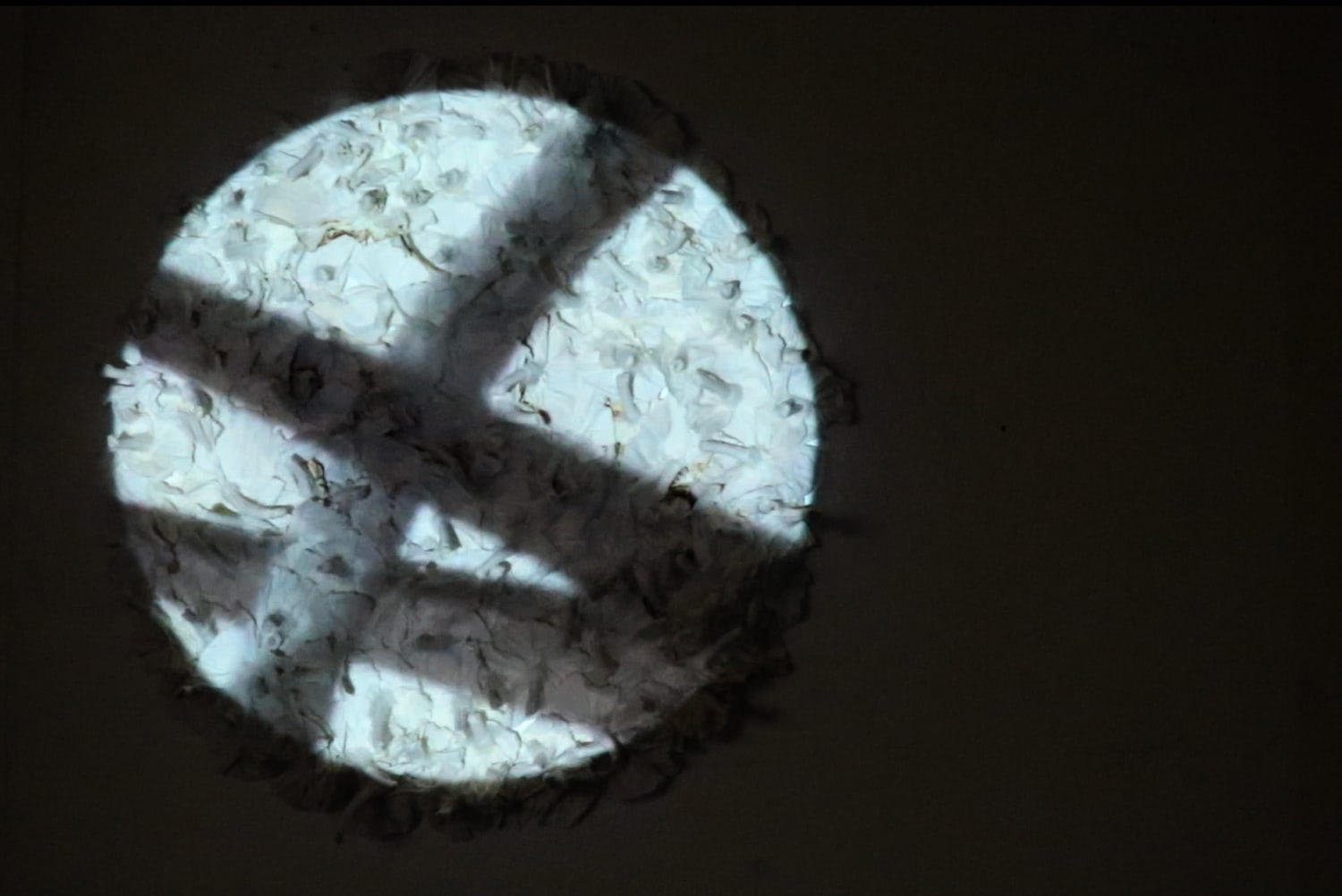 The process video projected over the installation