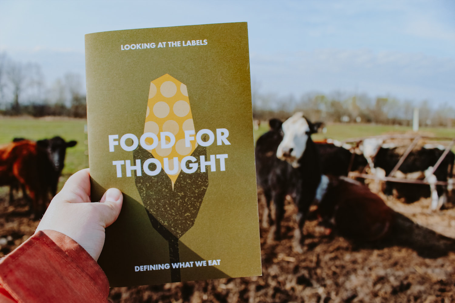 Food For Thought book held up in front of a group of cows