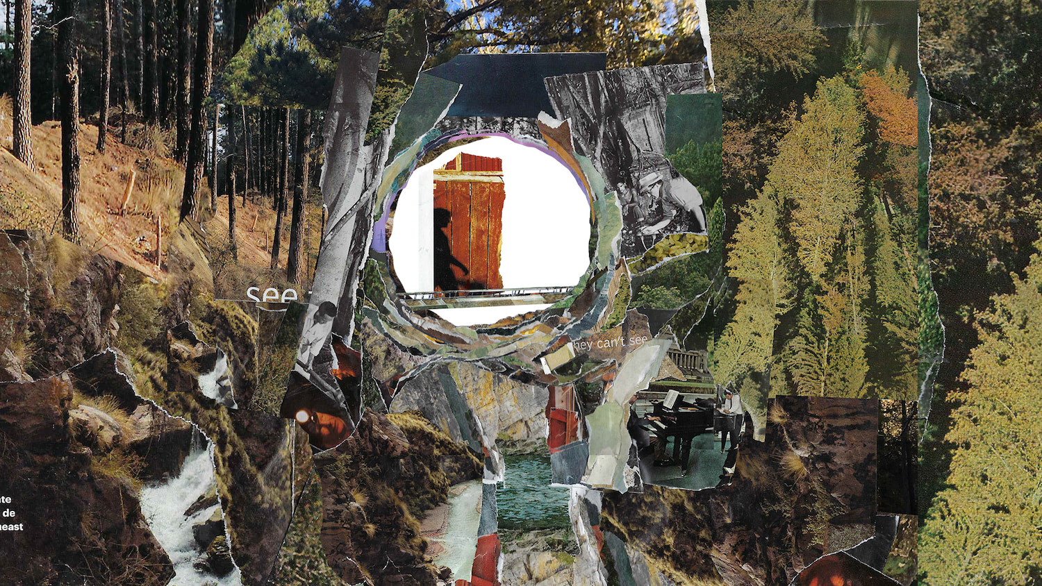 a person is in a park, and their shadow is much larger than themselves. Dense foliage and rock, a piano, researchers and scientists are woven into the landscape