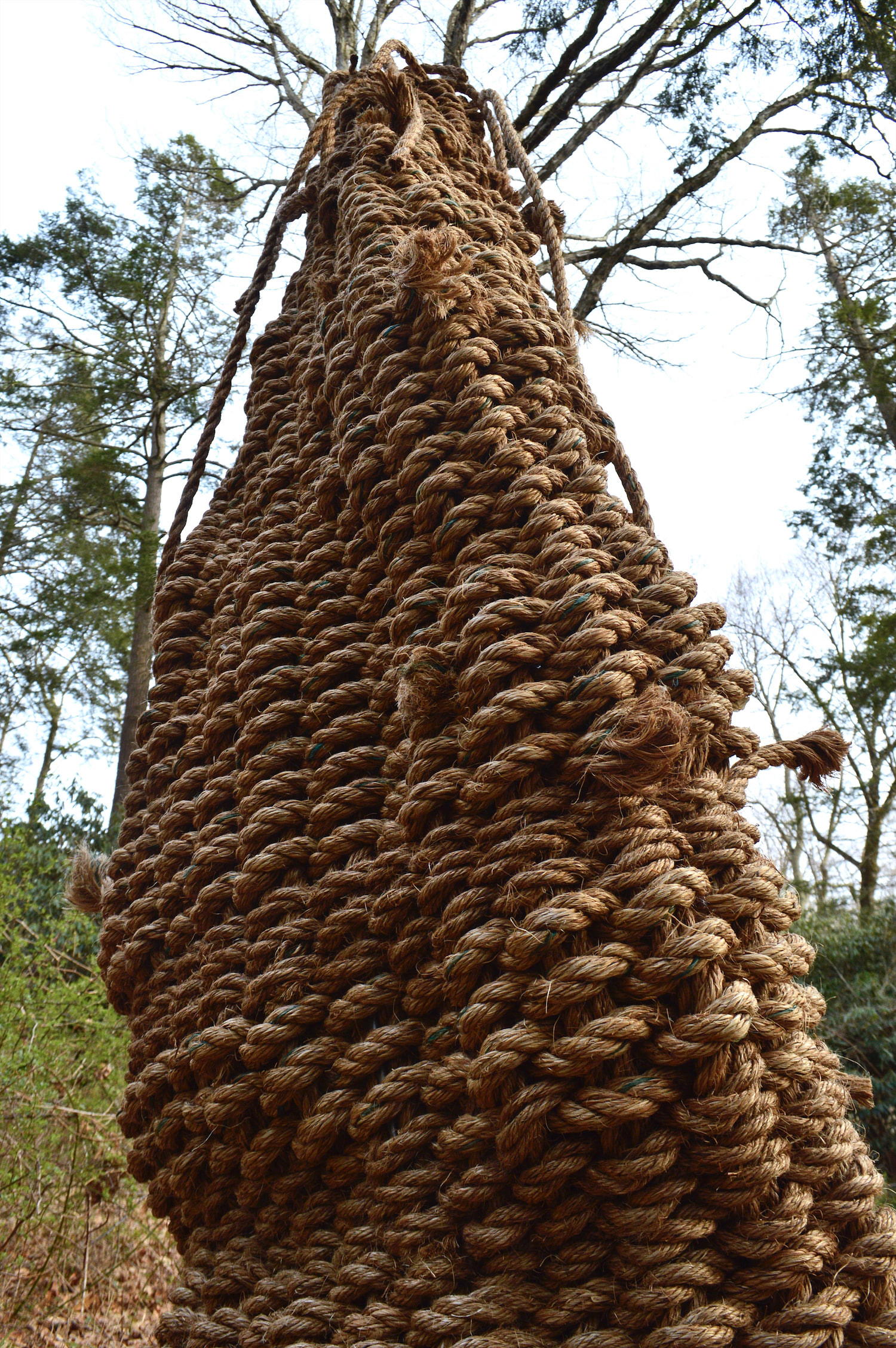 The sculpture is photographed from a low angle to resemble a widened tree trunk with branches that extend from behind the top of its twined rows. The upwards reaching branches form a contrast from the warp that hangs due to gravity. The winding structure of the growing form are emphasized.