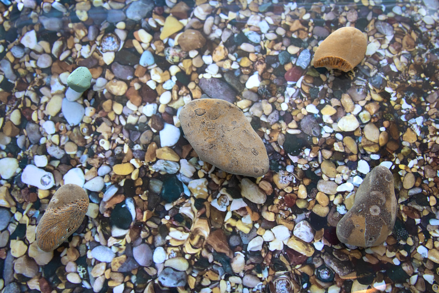 A birds eye view of the rock display, portraying the five rocks submerged in water,  placed on top of an image of the location they were found in to give the viewer the impression that they are looking into the shallow lake water and discovering these rocks for themselves.