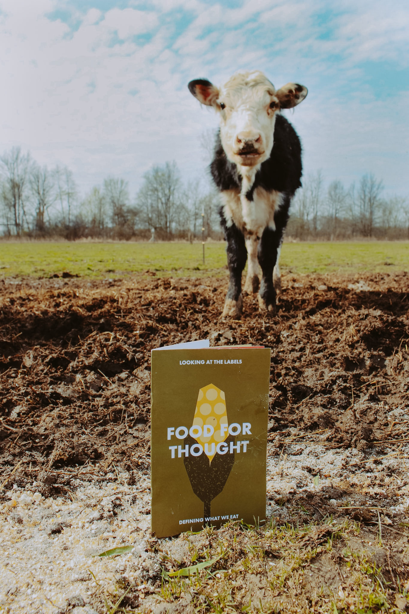 The book Food For Thought standing up in some mud with a cow in the background
