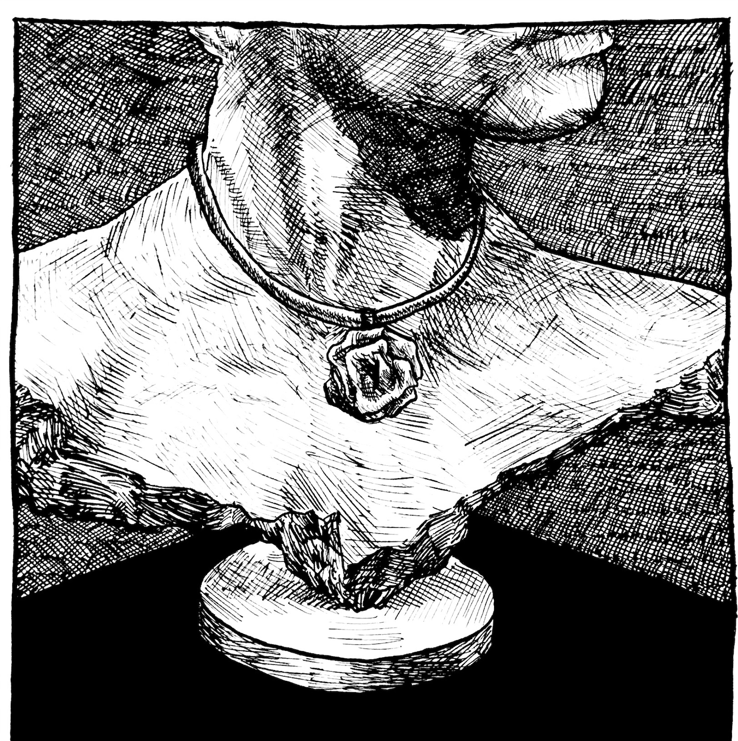 A square pen-and-ink crosshatching illustration of stone bust viewed from the lips down. The bust is wearing a cord necklace with a flower pendant.