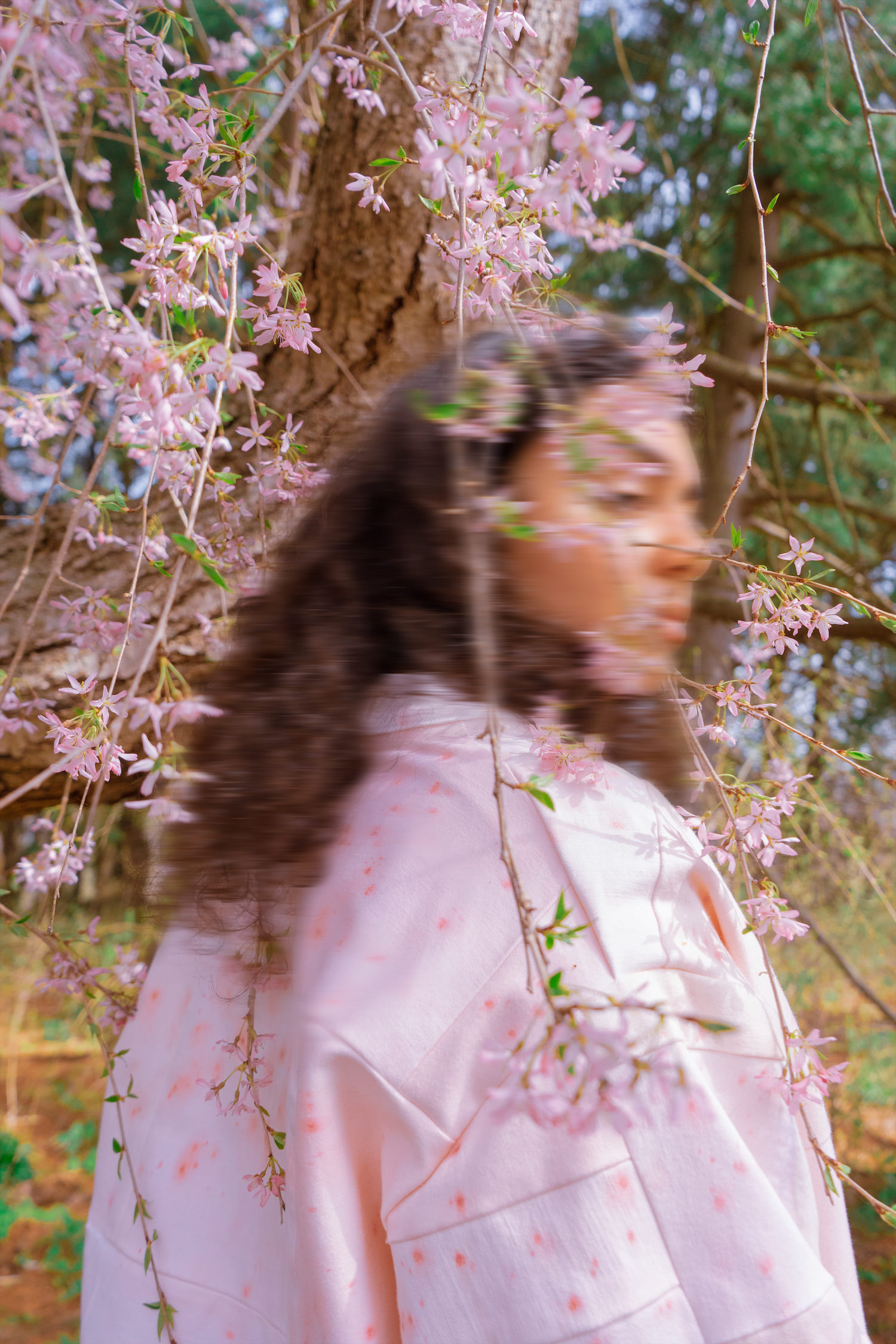 Model wearing acne jacket, up close, facing back, under blossoming tree