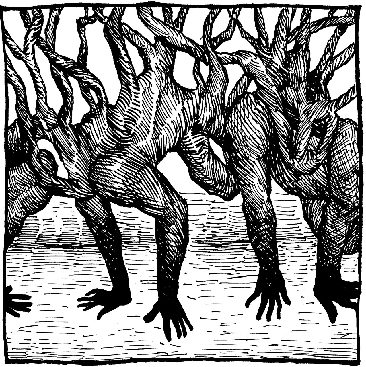 A square pen-and-ink crosshatched illustration of three humanoid figures with interconnected branches coming off their backs and black hands crawling on a light surface.