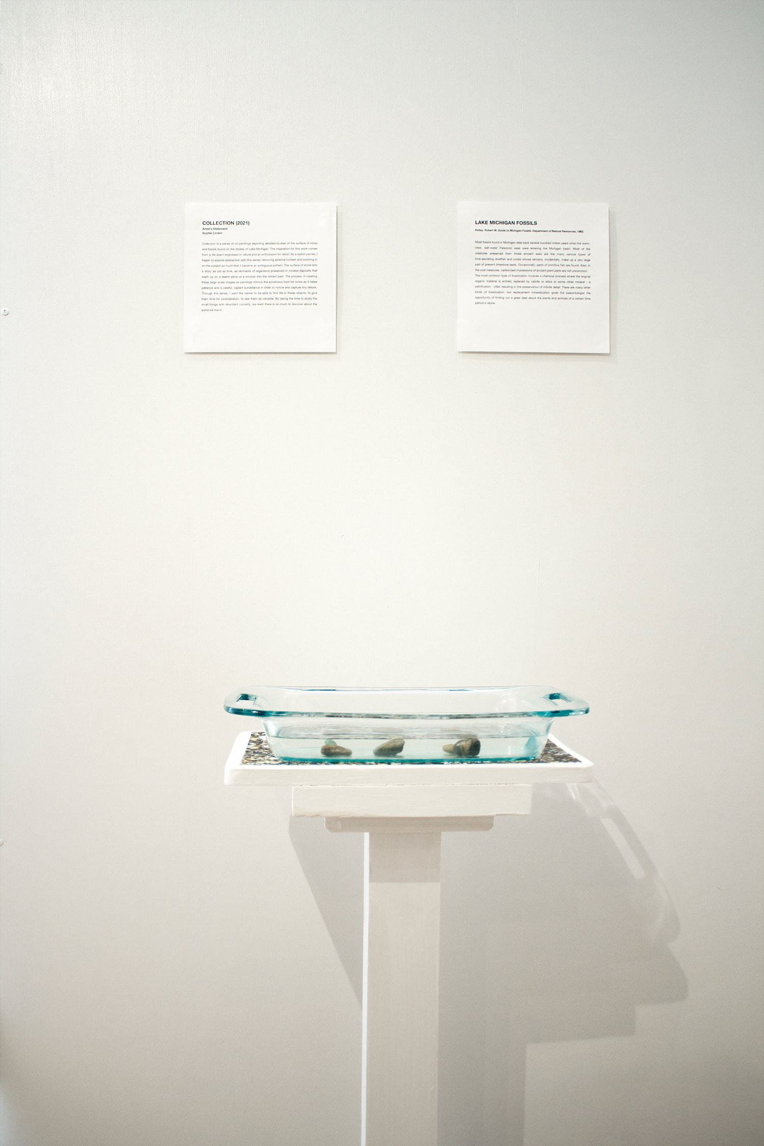 A white podium with an image of rocks at the original beach site adhered to the top, supporting a glass tray filled with water and the five rocks featured in the paintings. The podium stands directly beneath the artist statement and the scientific context of Lake Michigan Fossils.
