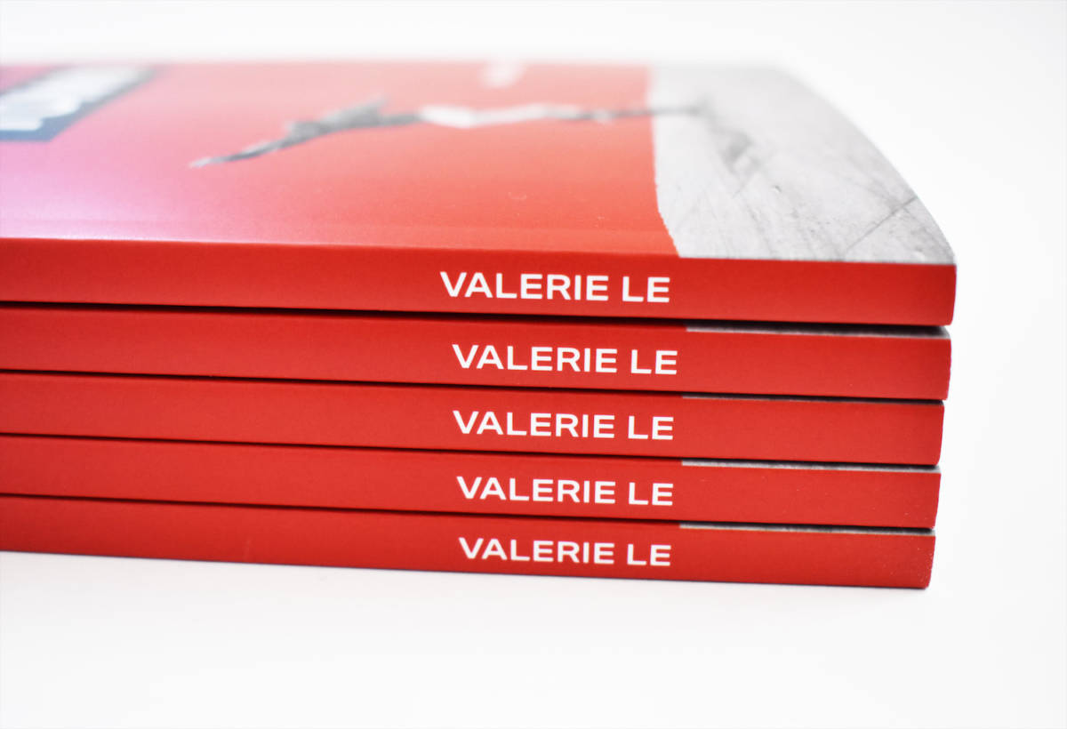 Stack of five Skating Tree Town books, showing the author's name, Valerie Le, on the spine.