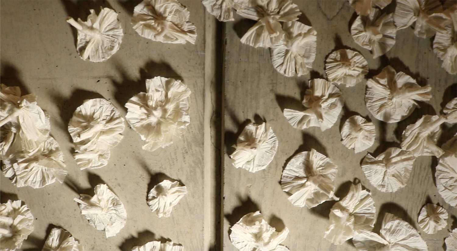 A process photo from the installation. Individual units that look like flowers adhered to the wall.