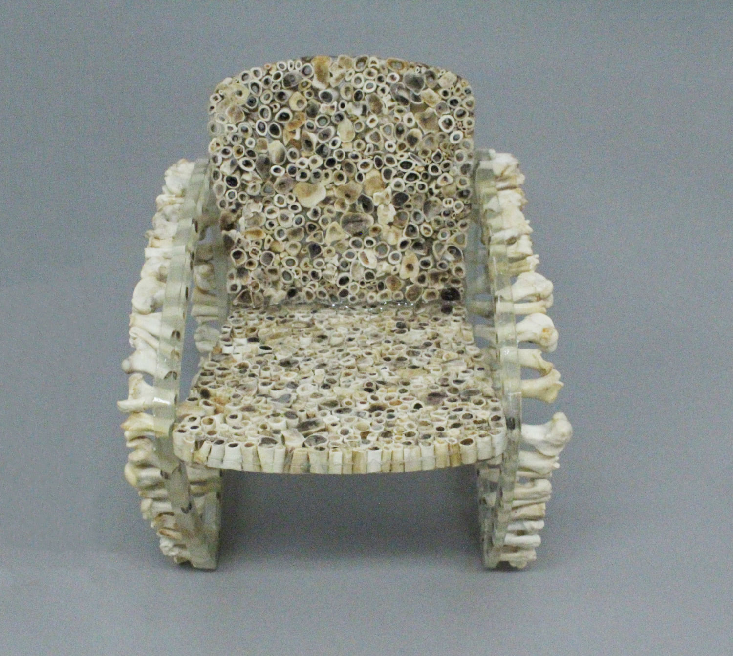 Front view of the Bone Chair.