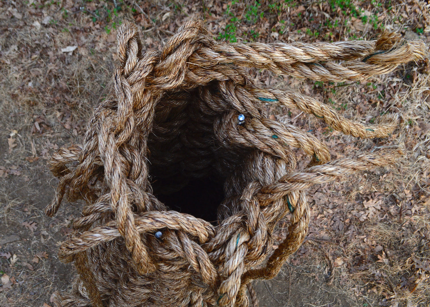 Taken from above the basket, this detail shot emphasizes the hollow nature of the bodily sculpture, which is centered in the horizontal composition. The hollowness of the basket poses this sculpture as a container. The circular edges of two of three metal rods that provide additional support are visible. This birds eye view angle highlights that two horizontal weavers are woven around the interior and exterior faces of each parallel vertical rope.