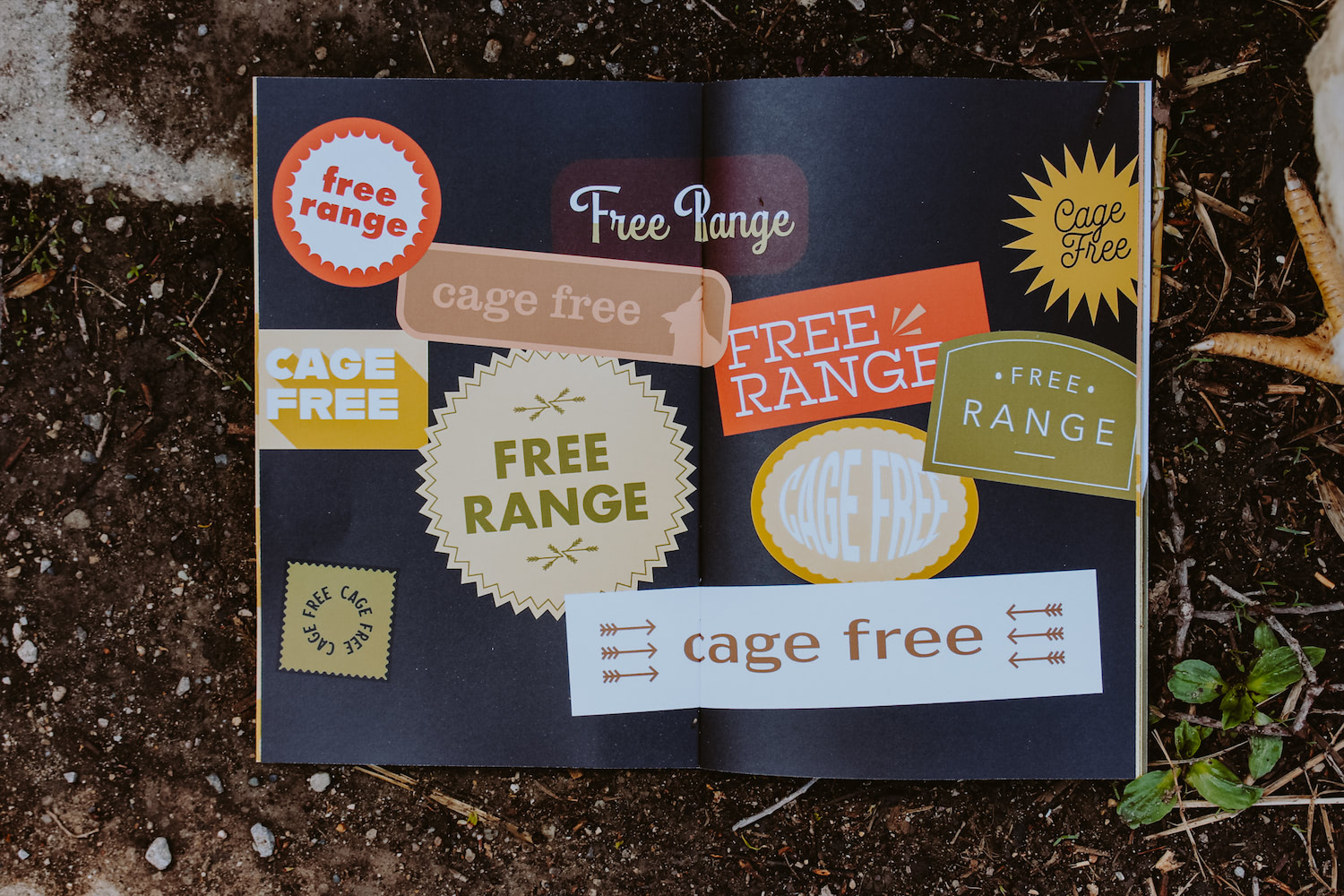 Book spread open to a page with free range and cage free stickers, next to a chicken