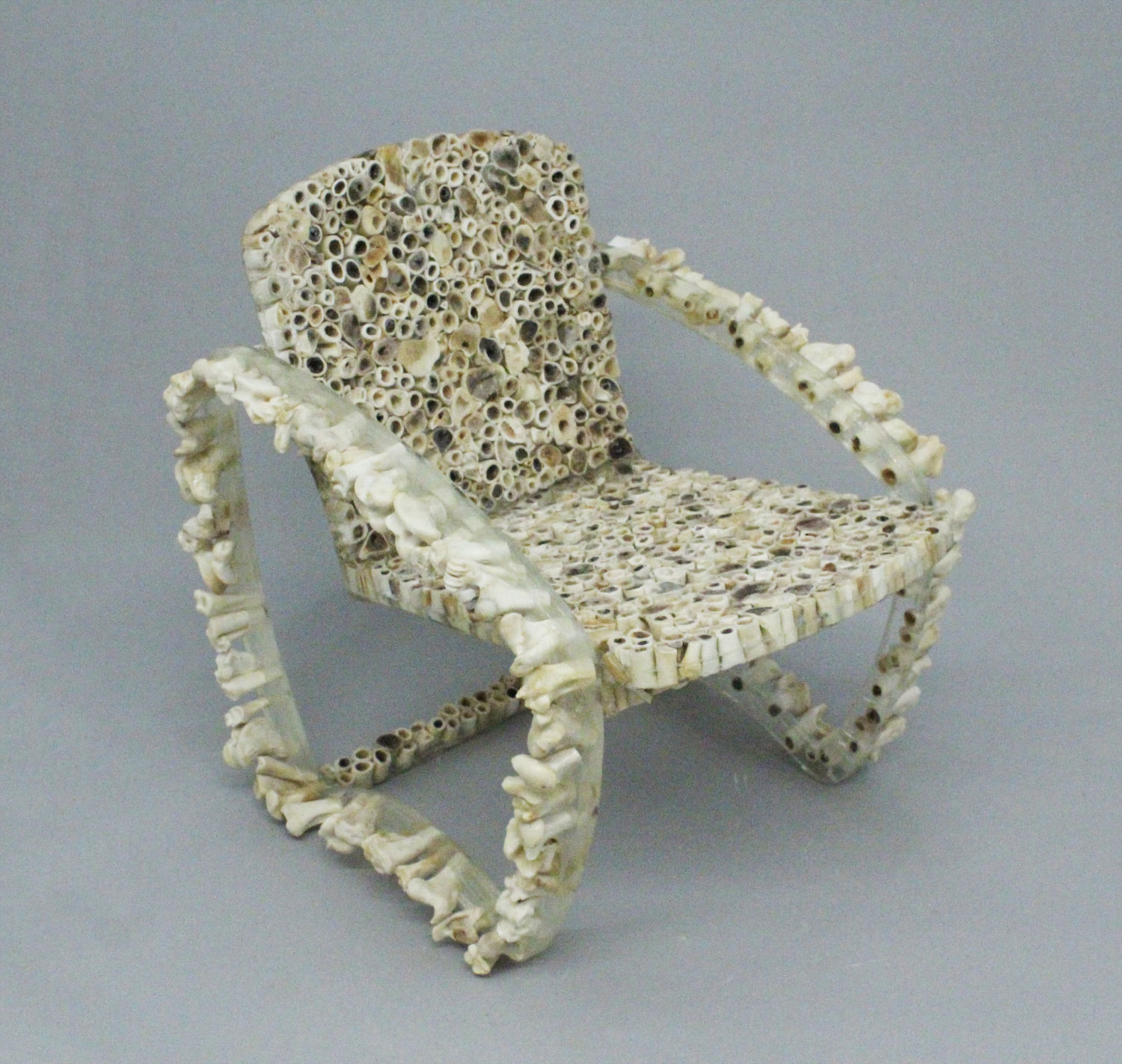 The Bone Chair