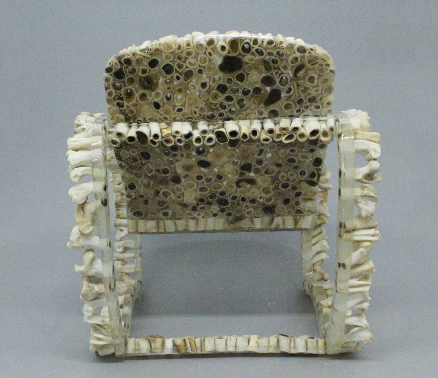 Back view of the Bone Chair.