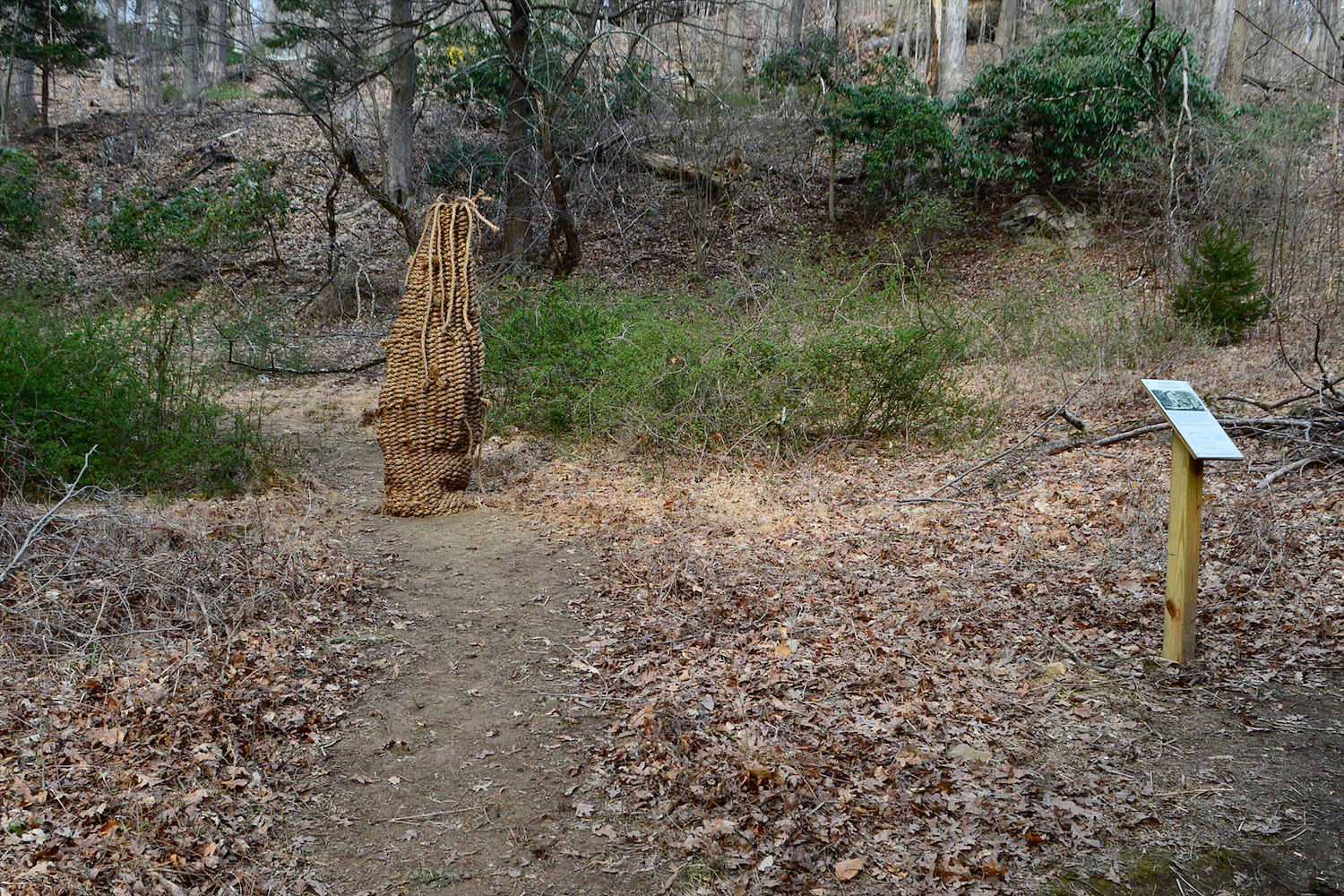 Extending from the frame's bottom edge, a path in the woods veers off slightly to the left. To its right, near the bottom right hand corner, is a informational plaque planted into the ground with a wooden base. This is one of the latter stops on the historical 
