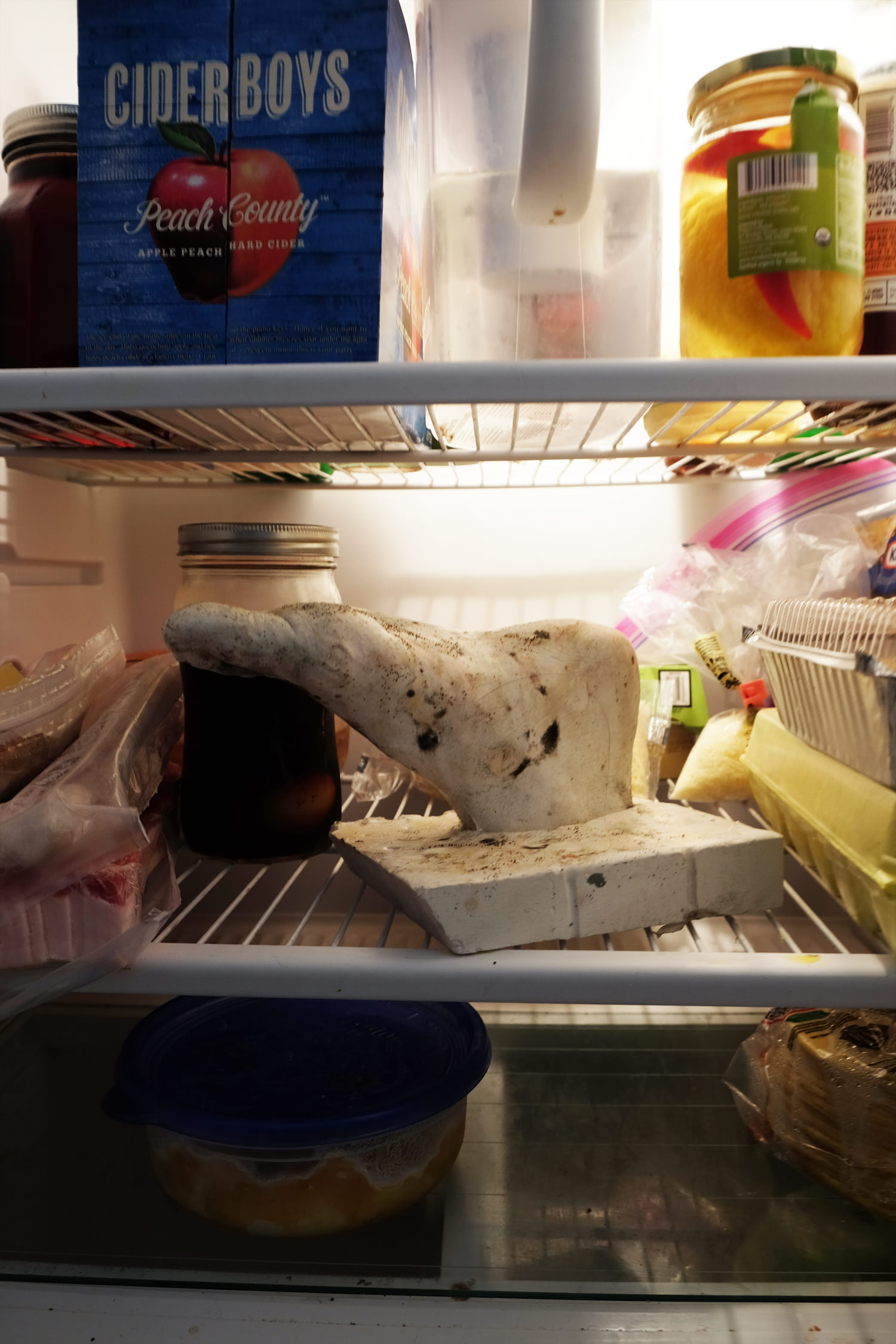 A plaster foot covered in bacteria sitting in a fridge full of food.
