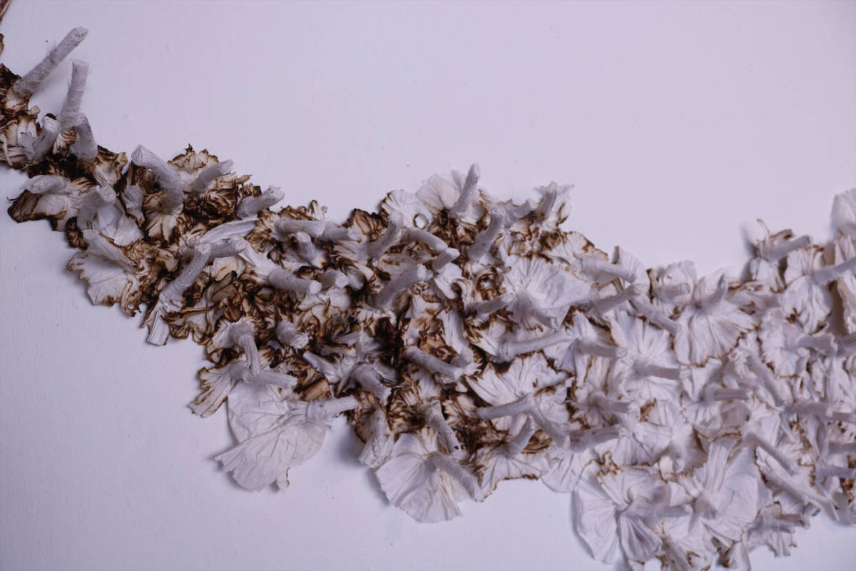 Photo showing the burnt edges of the individual units used to create the piece