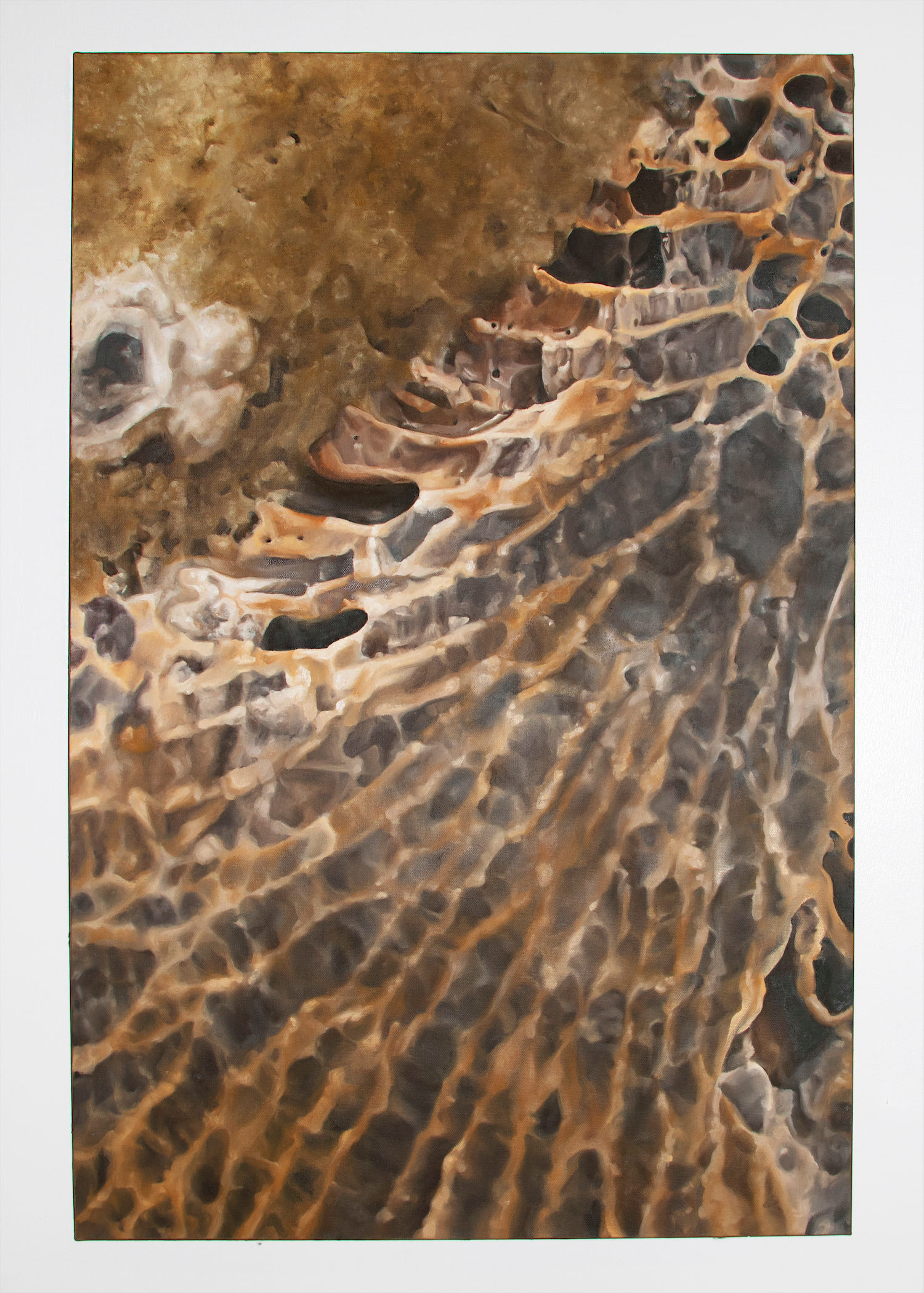 A web-like coral fossil called Favosite painted on a vertical rectangular canvas. The structure is almost cellular, with cool toned grey colored cells and a warm, orange-toned structure.