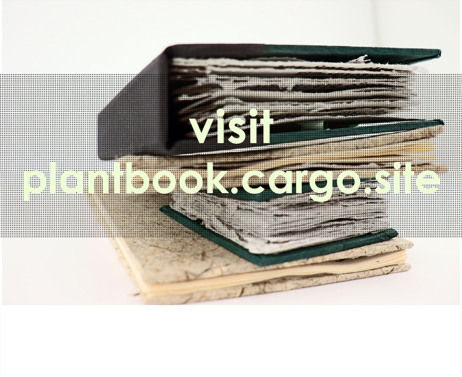 Visit https://plantbook.cargo.site/
