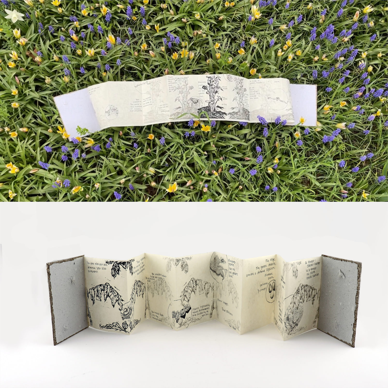 Top image shows the book in a flowery spring garden, and the bottom shows the book in a white studio setting.
