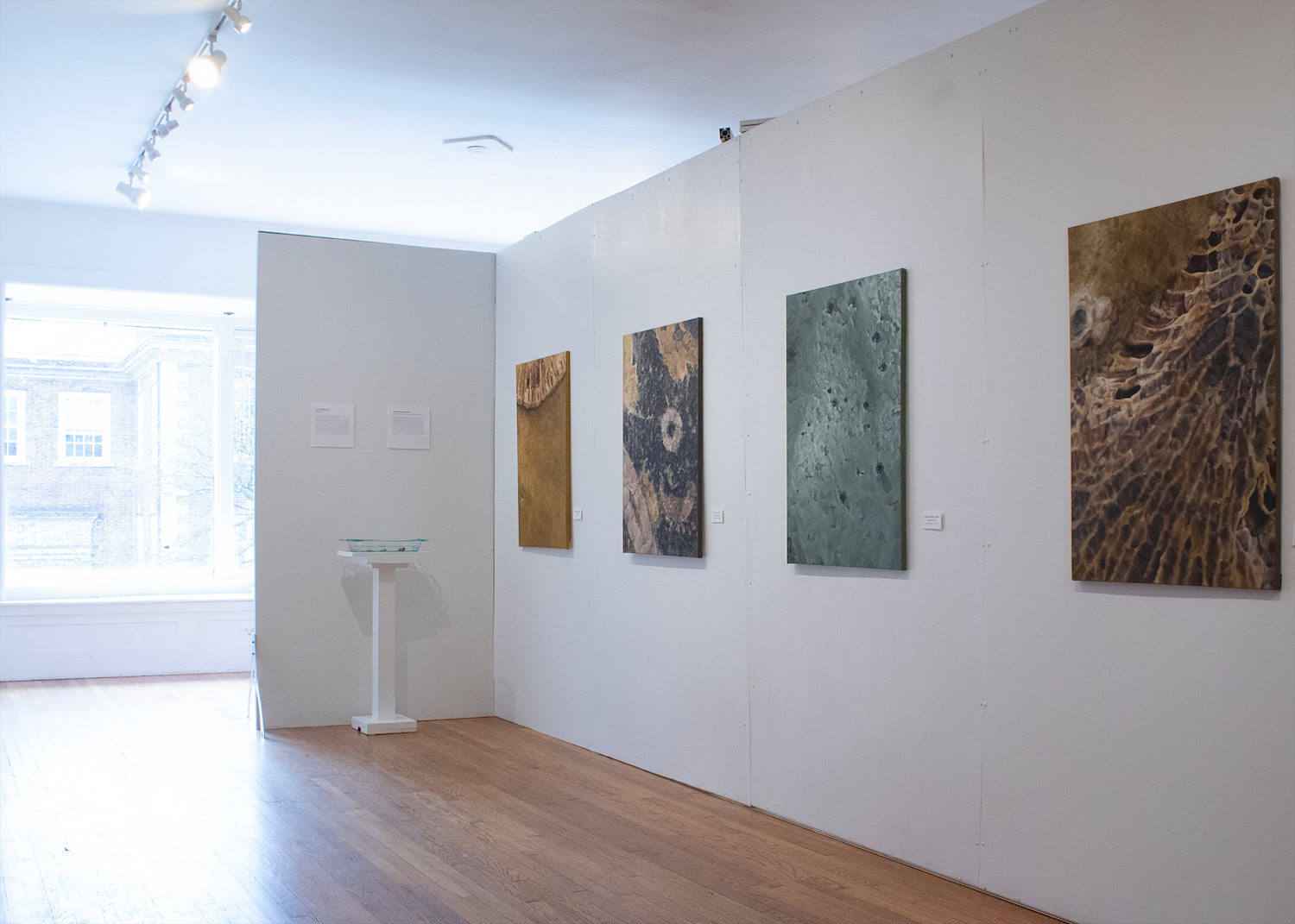 A gallery space with white walls and wood floors, exhibiting the four, medium sized paintings next to the rock display and artist statement.